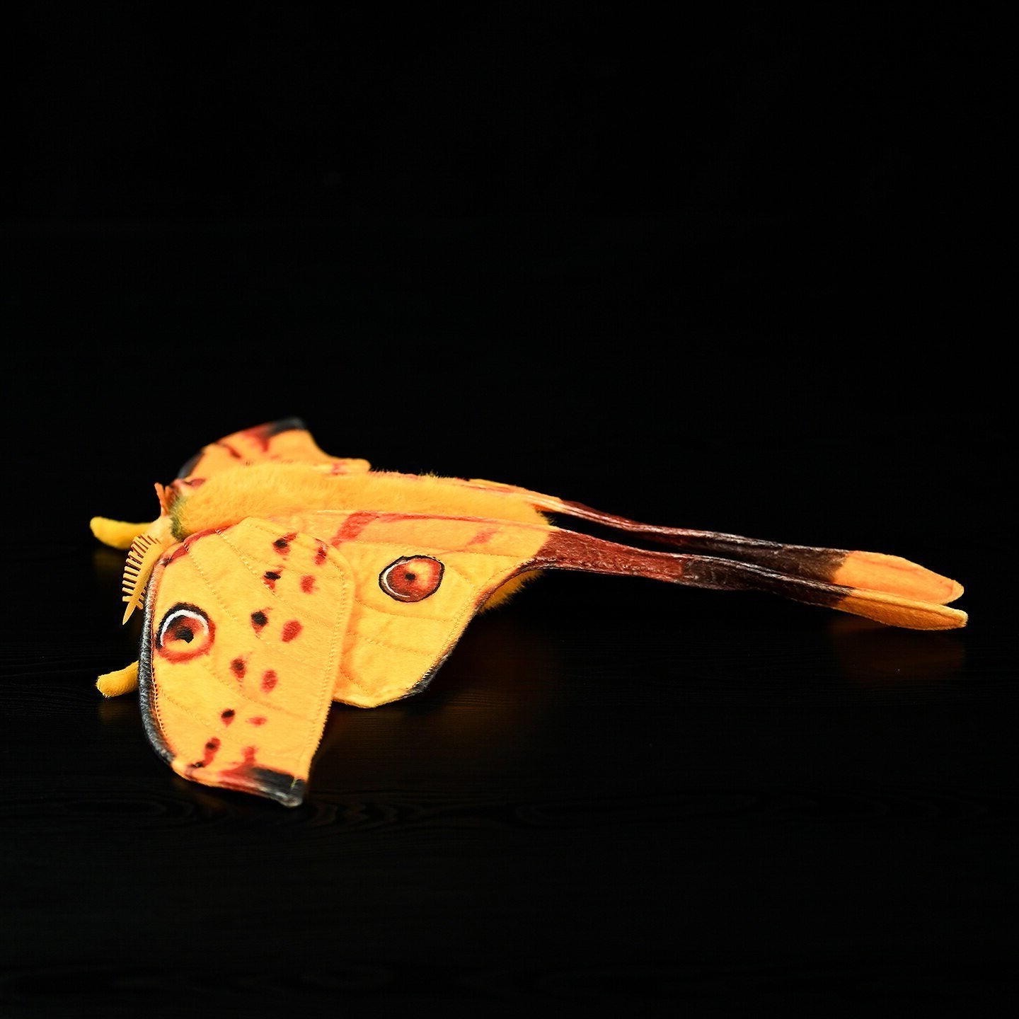 Comet Moth Soft Stuffed Plush Toy