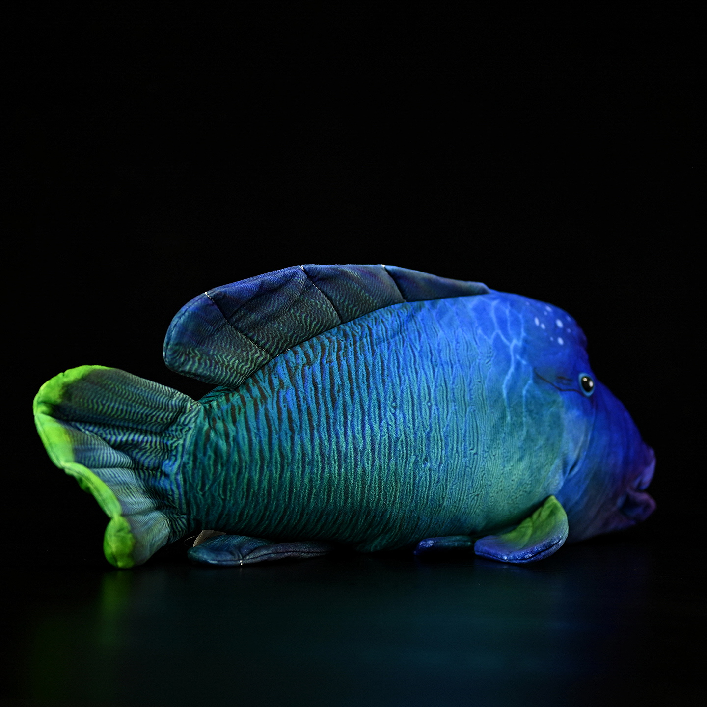 Humphead Wrasse Soft Stuffed Plush Toy