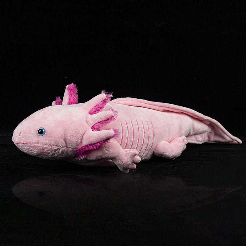 Muñeca De Peluche De 7 Colores Con Forma De Pez Axolotl, Bon Color Agua Muñeca De Peluche De 7 Colores Con Forma De Pez Axolotl, Bon Color Agua