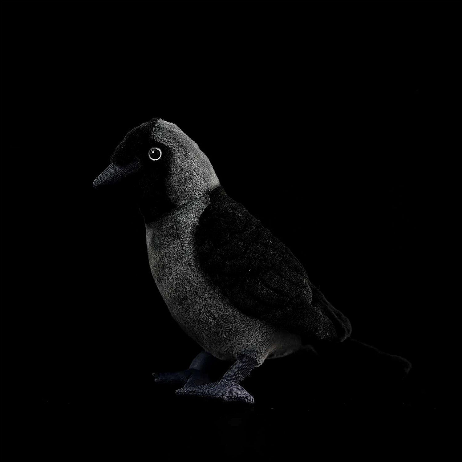 Western Jackdaw Crow Soft Stuffed Plush Toy – Gage Beasley