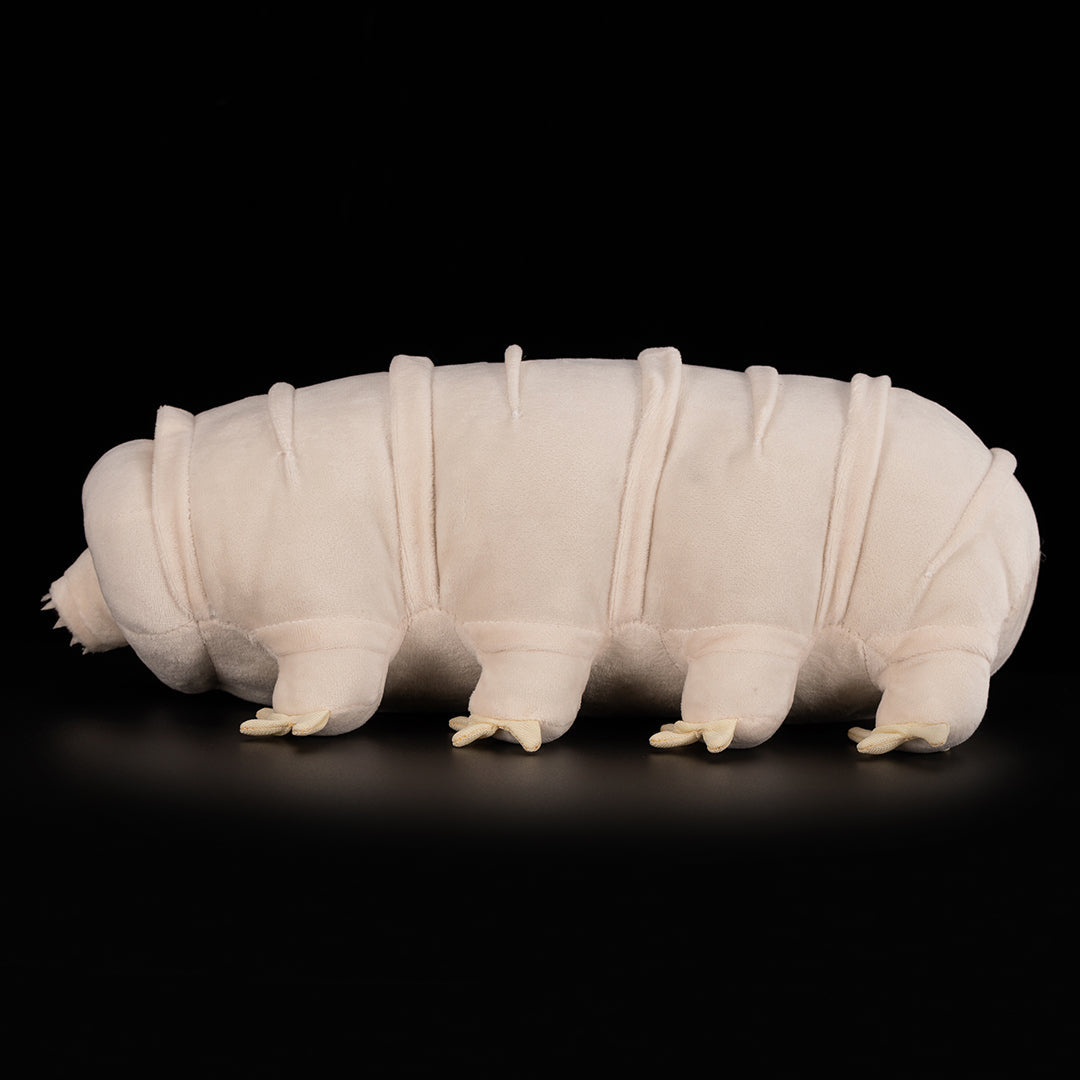 Tardigrade Water Bear Soft Stuffed Plush Toy – Gage Beasley