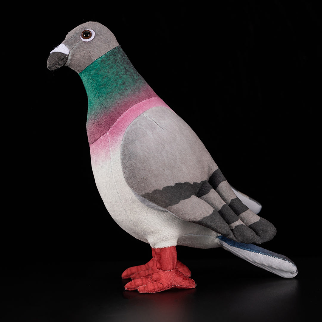 Common Pigeon Bird Soft Stuffed Plush Toy