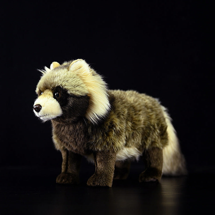 Common Raccoon Dog Soft Stuffed Plush Toy – Gage Beasley