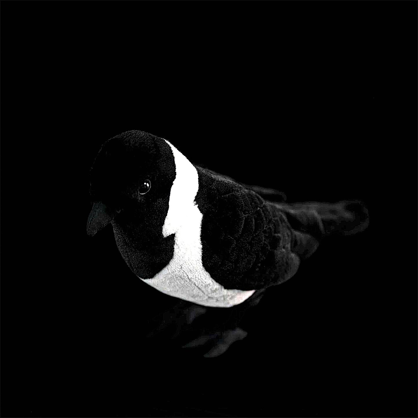 Daurian Jackdaw Soft Stuffed Plush Toy