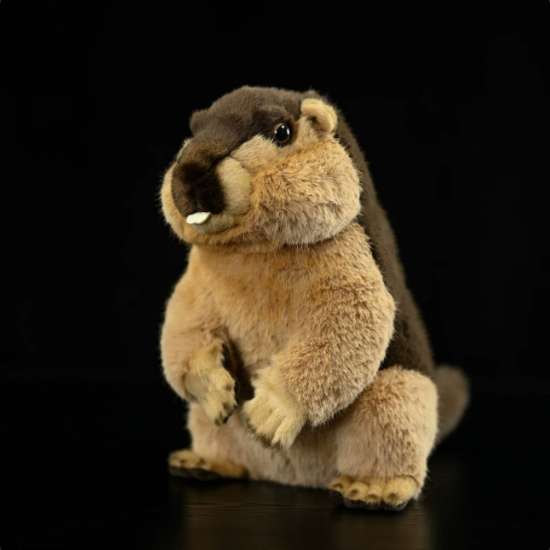 Marmot Soft Stuffed Plush Toy