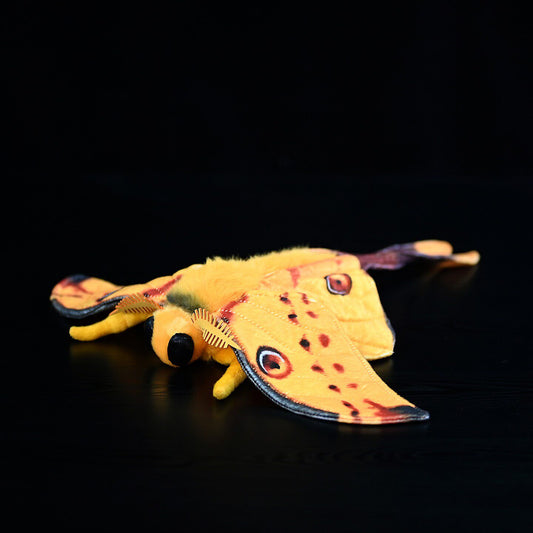 Comet Moth Soft Stuffed Plush Toy