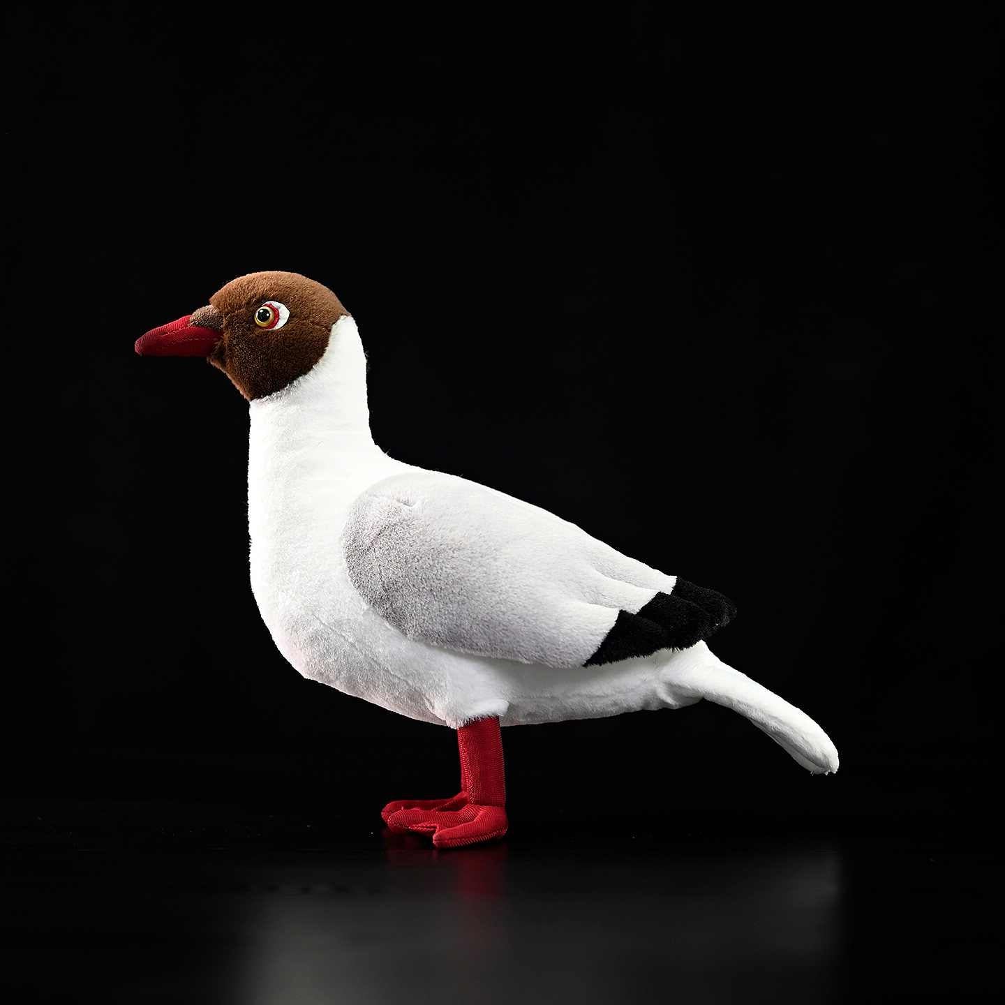 Brown-headed Gull Soft Stuffed Plush Toy