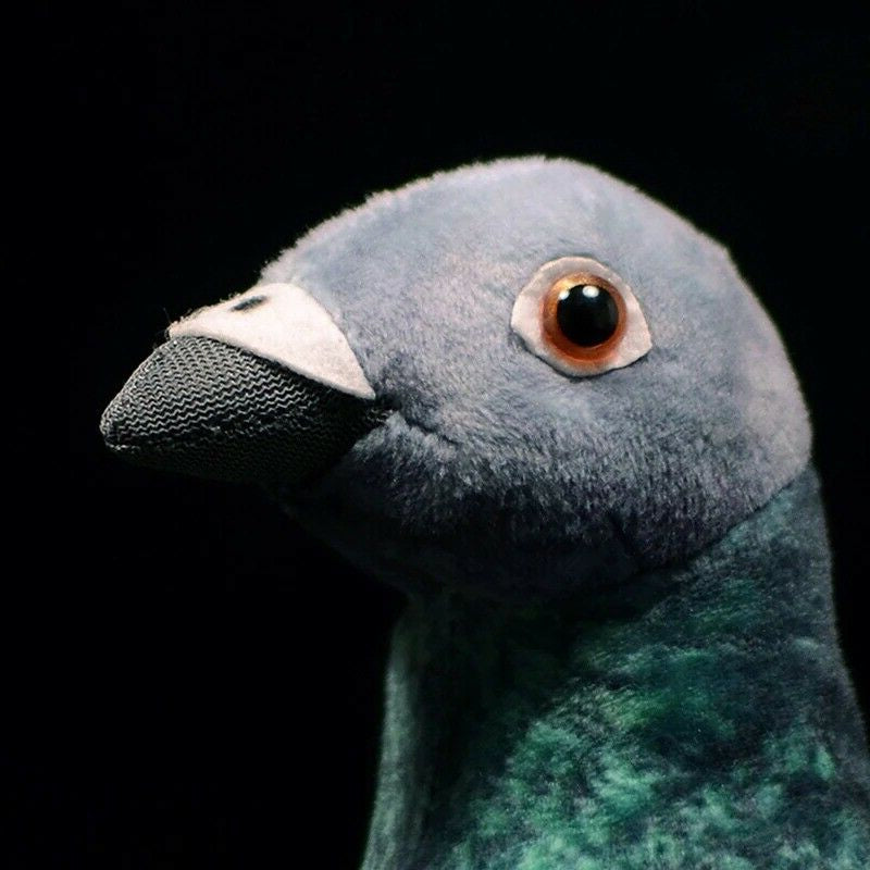 Common Pigeon Bird Soft Stuffed Plush Toy