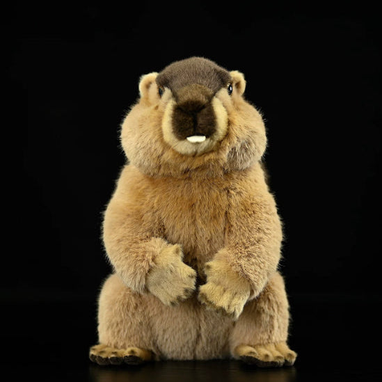 Marmot Soft Stuffed Plush Toy – Gage Beasley