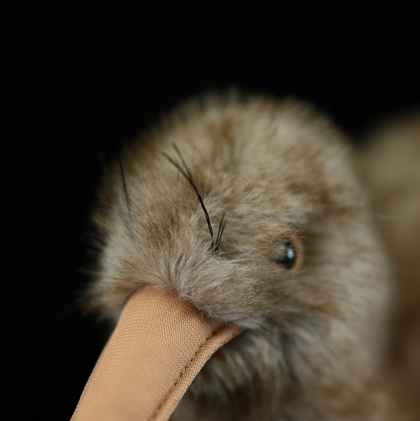 Kiwi Bird Soft Stuffed Plush Toy – Gage Beasley