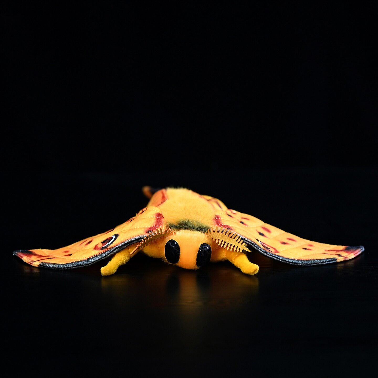 Comet Moth Soft Stuffed Plush Toy