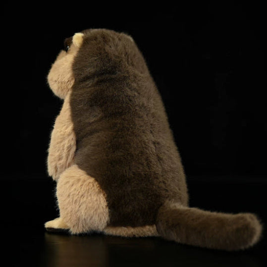 Marmot Soft Stuffed Plush Toy