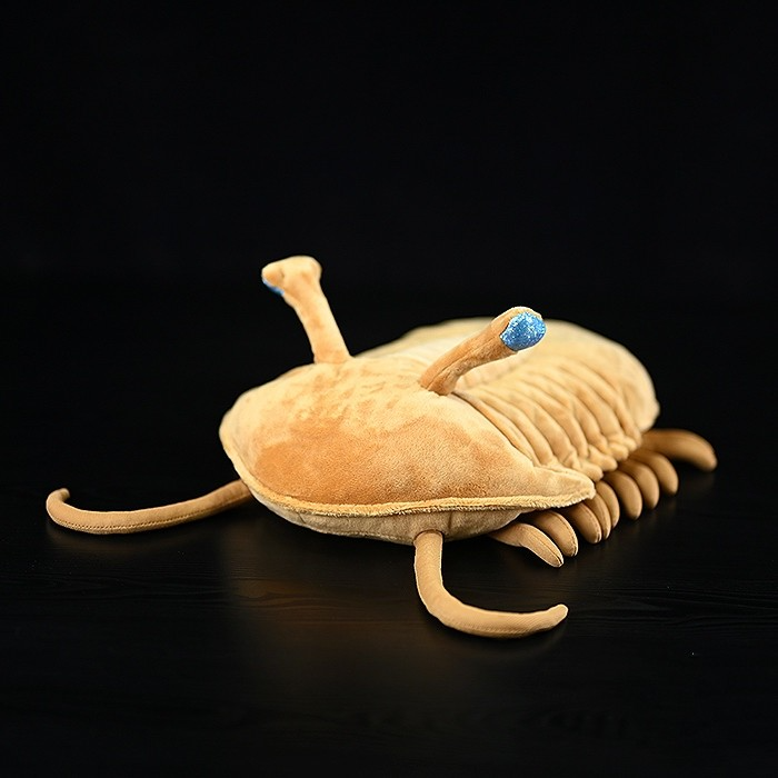 Asaphus Kowalewskii Trilobite Soft Stuffed Plush Toy by Gage Beasley