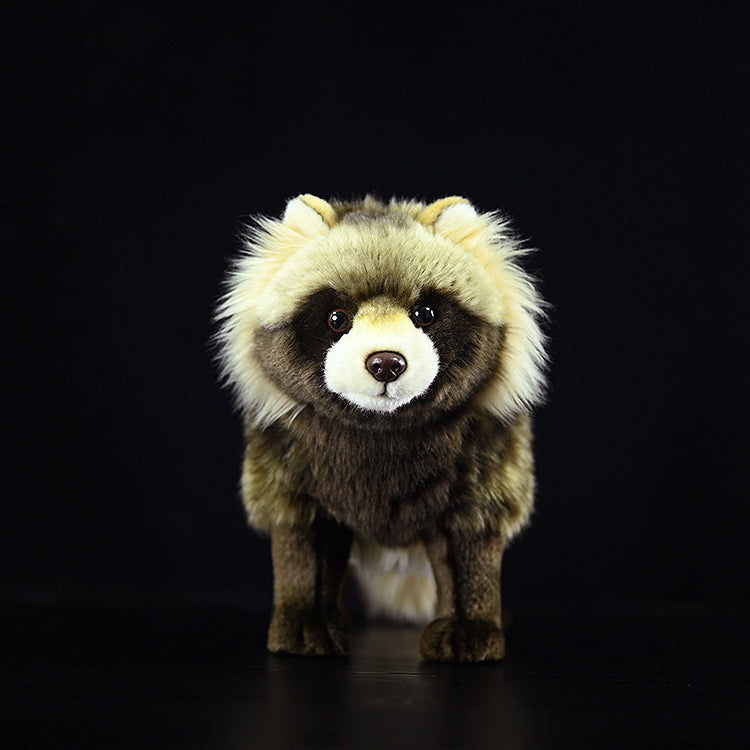 Common Raccoon Dog Soft Stuffed Plush Toy