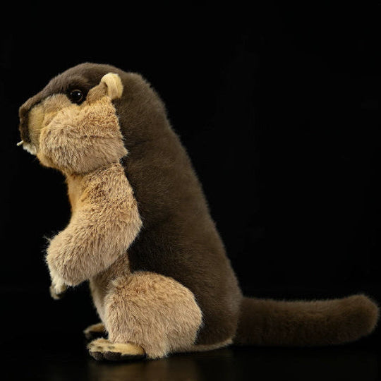 Marmot Soft Stuffed Plush Toy