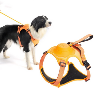 All-in-One Dog Harness and Retractable Leash Set