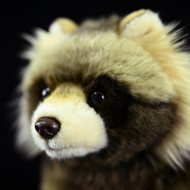 Common Raccoon Dog Soft Stuffed Plush Toy