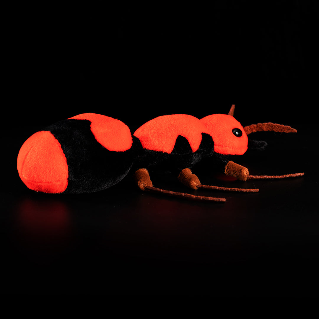 Red Velvet Ant Stuffed Plush Toy