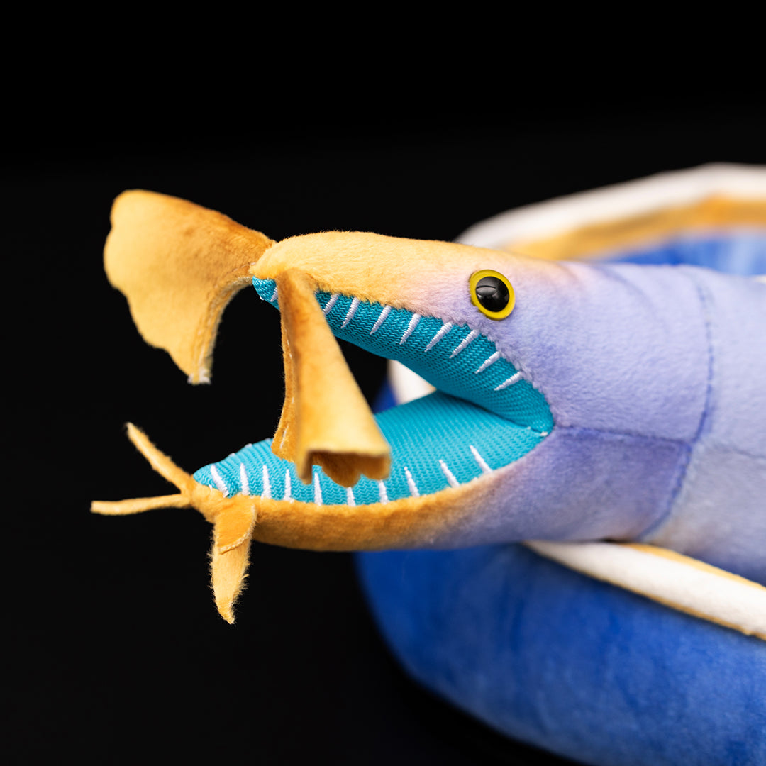 Ribbon Eel Soft Stuffed Plush Toy