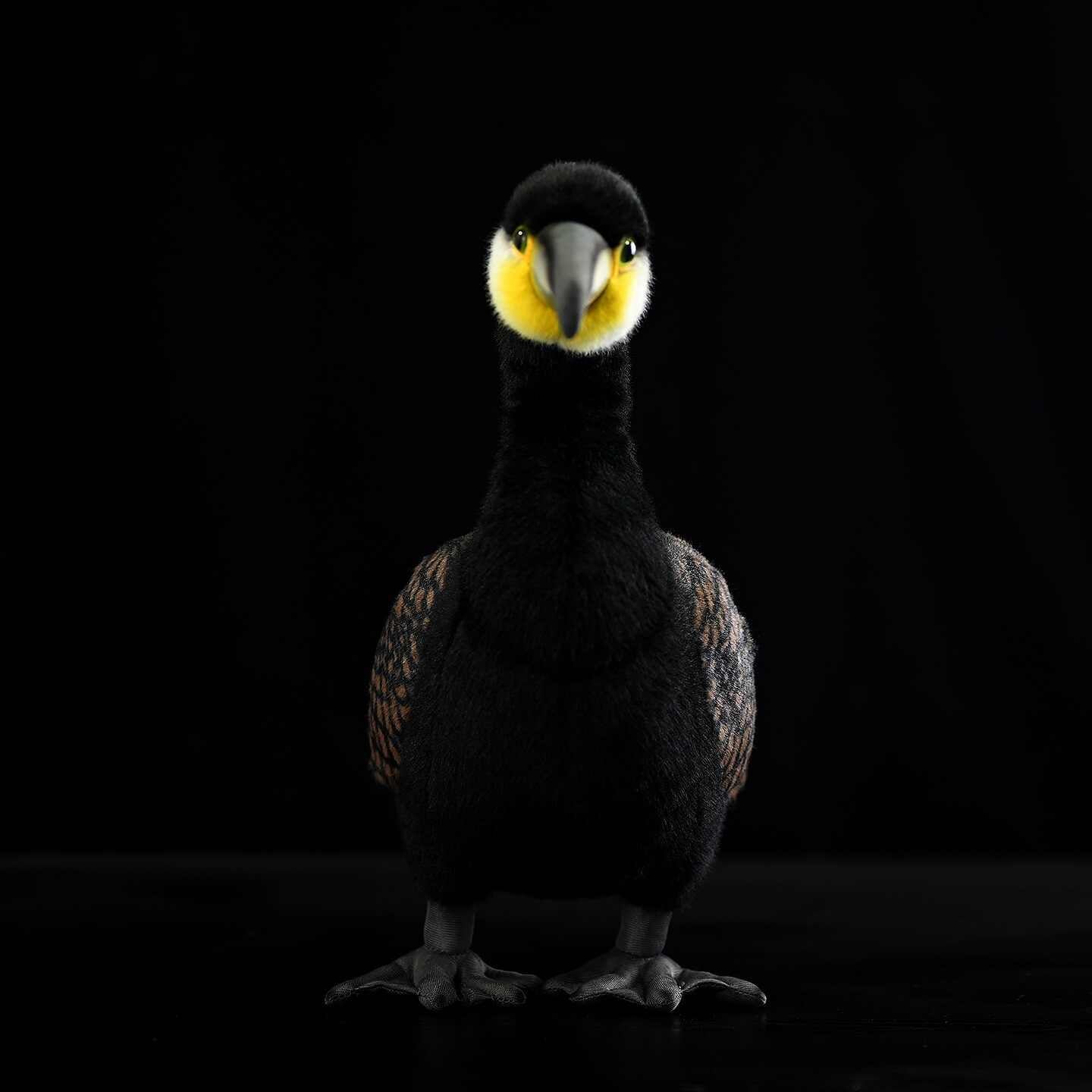 Great Cormorant Soft Stuffed Plush Toy