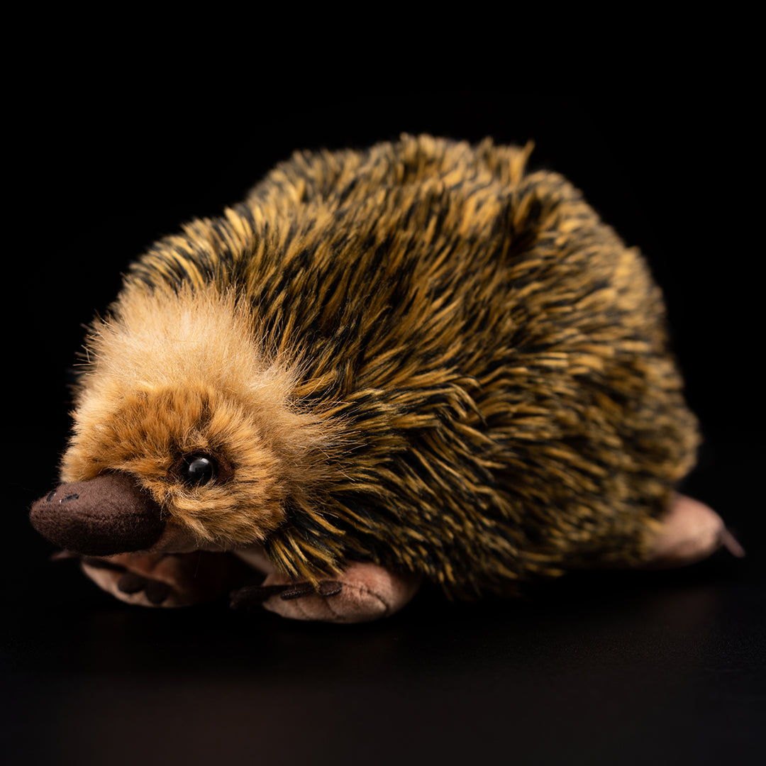 Gage Beasley Echidna Soft Stuffed Plush Toy