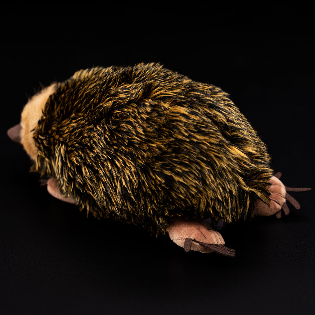 Echidna Soft Stuffed Plush Toy