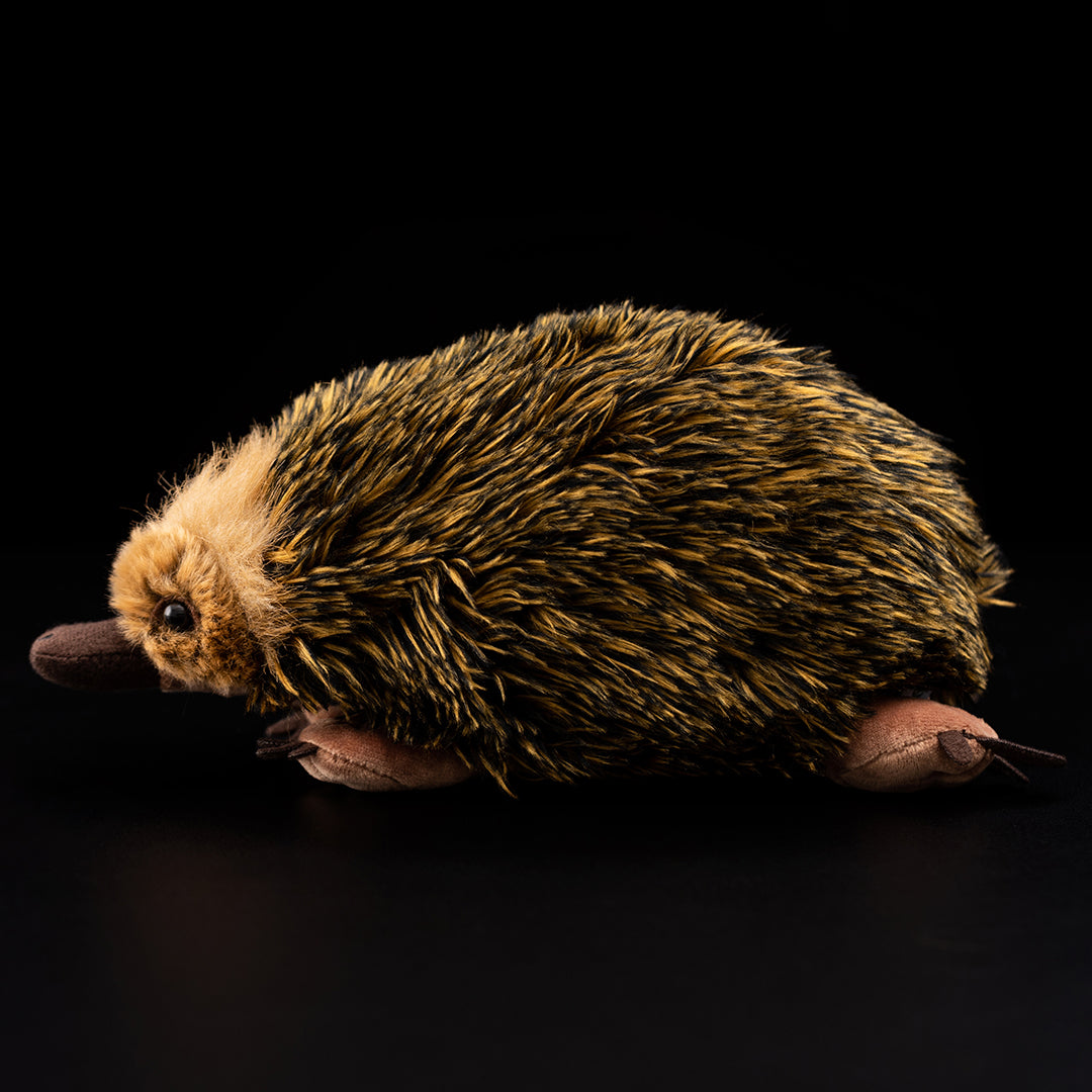 Echidna Soft Stuffed Plush Toy