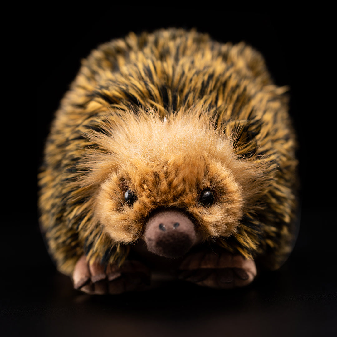 Echidna Soft Stuffed Plush Toy