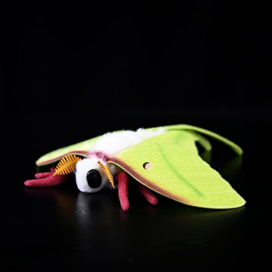 Indian Moon Moth Soft Stuffed Plush Toy