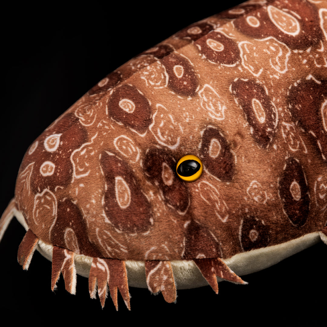 Spotted Wobbegong Shark Stuffed Plush Toy
