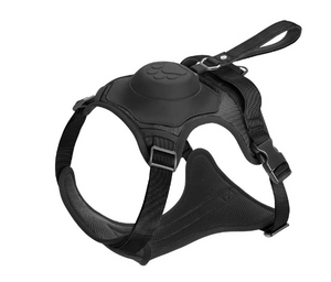 All-in-One Dog Harness and Retractable Leash Set