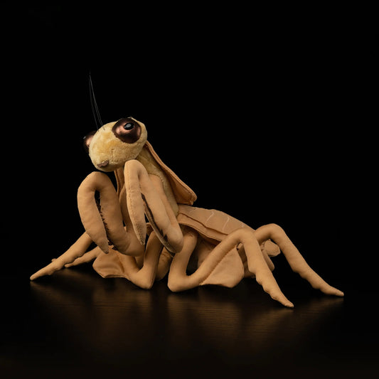 Dead Leaf Mantis Soft Stuffed Plush Toy
