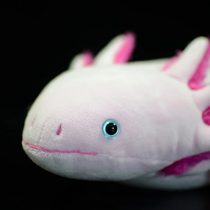 Pink Axolotl Soft Stuffed Plush Toy