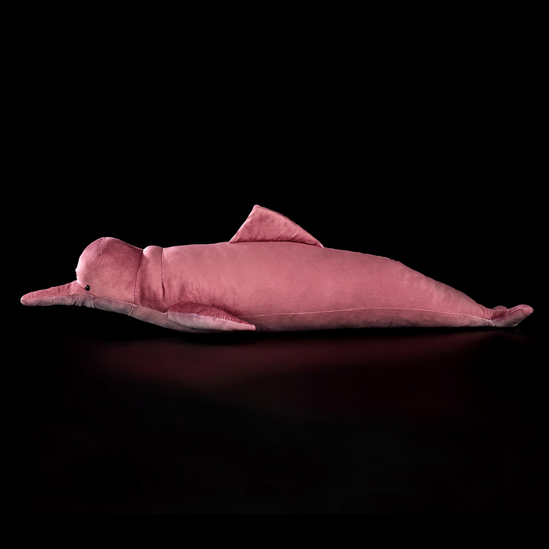 Specimen 3 - Amazon River Pink Dolphin Plush