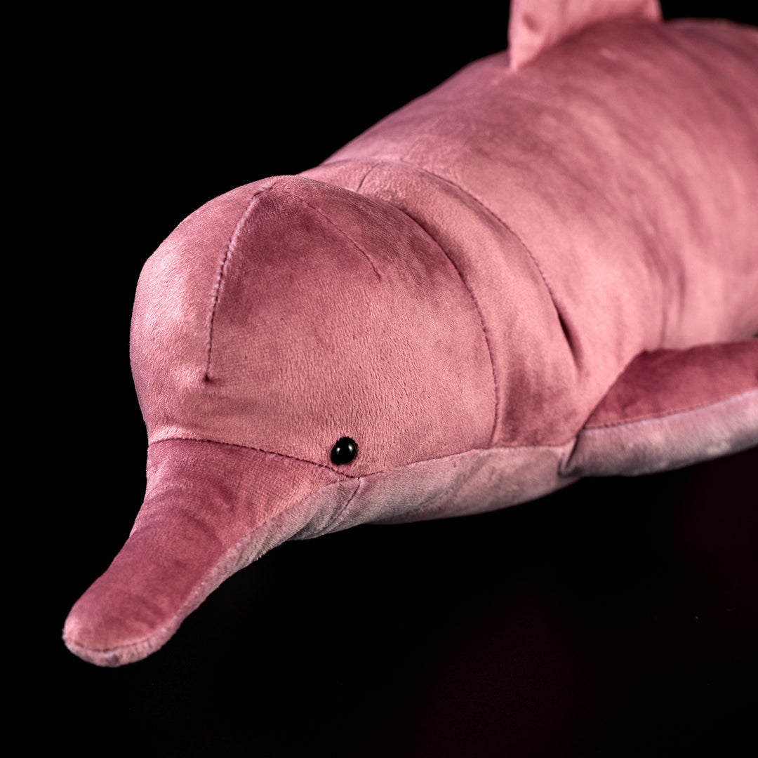 Specimen 3 - Amazon River Pink Dolphin Plush – Gage Beasley