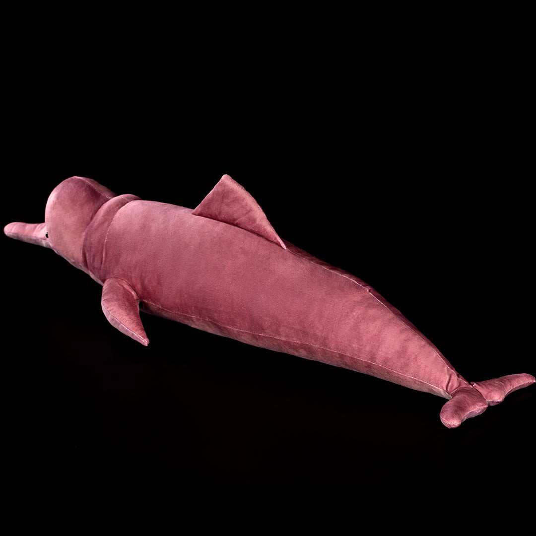 Specimen 3 - Amazon River Pink Dolphin Plush – Gage Beasley