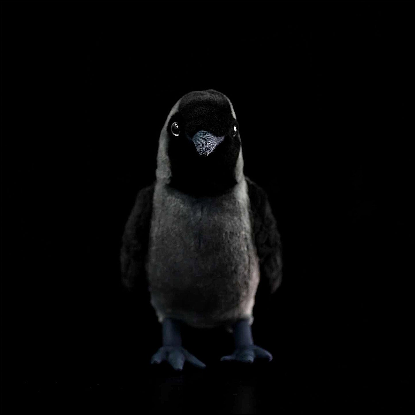 Western Jackdaw Crow Soft Stuffed Plush Toy