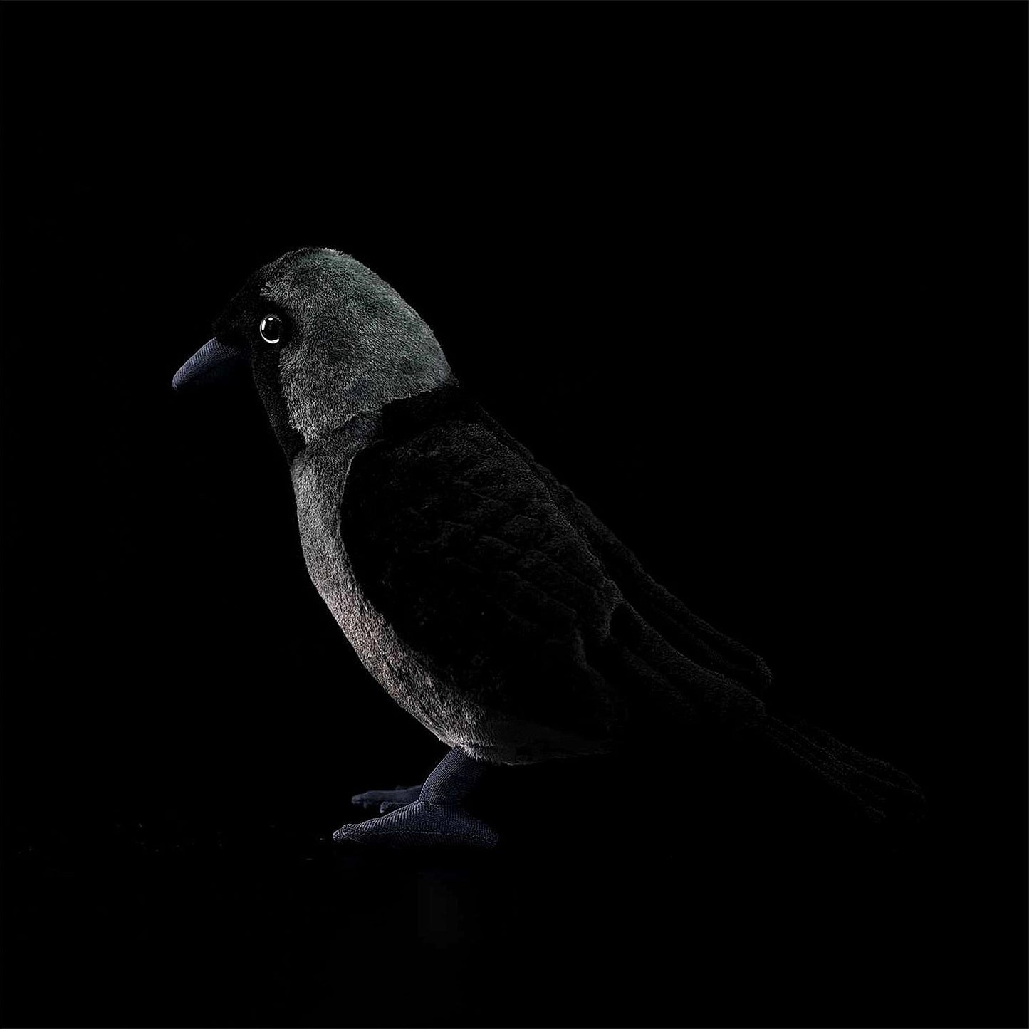 Western Jackdaw Crow Soft Stuffed Plush Toy