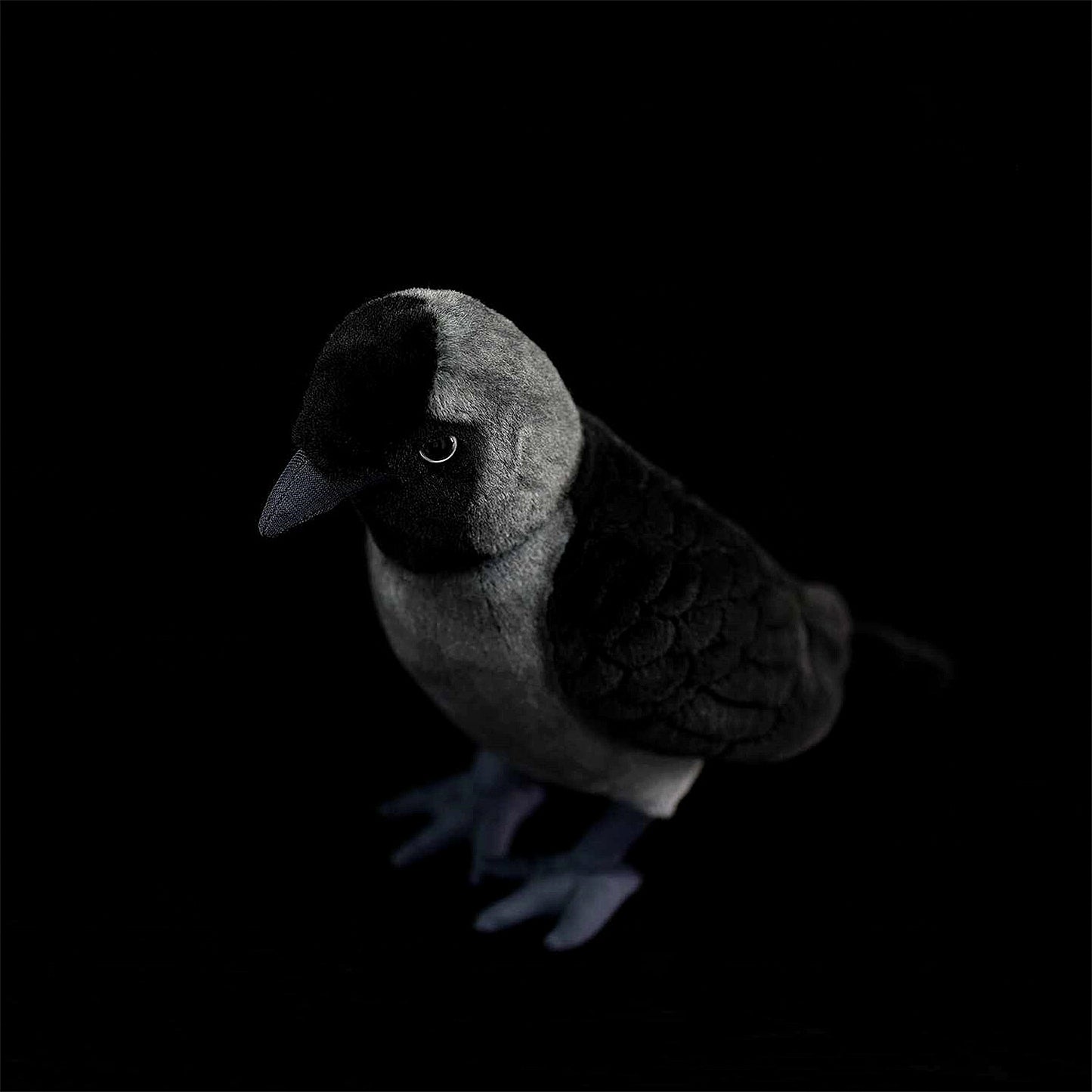 Western Jackdaw Crow Soft Stuffed Plush Toy