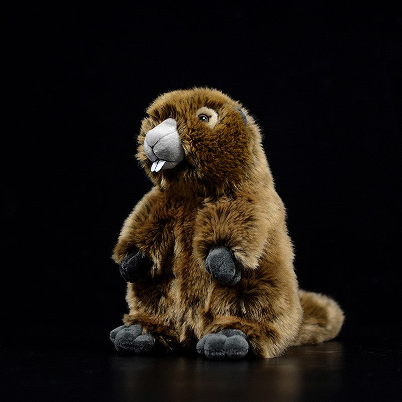 Groundhog Woodchuck צעצוע קטיפה ממולא רך