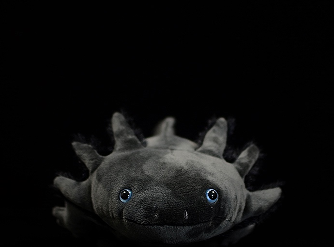 Jucărie de pluș moale Axolotl negru
