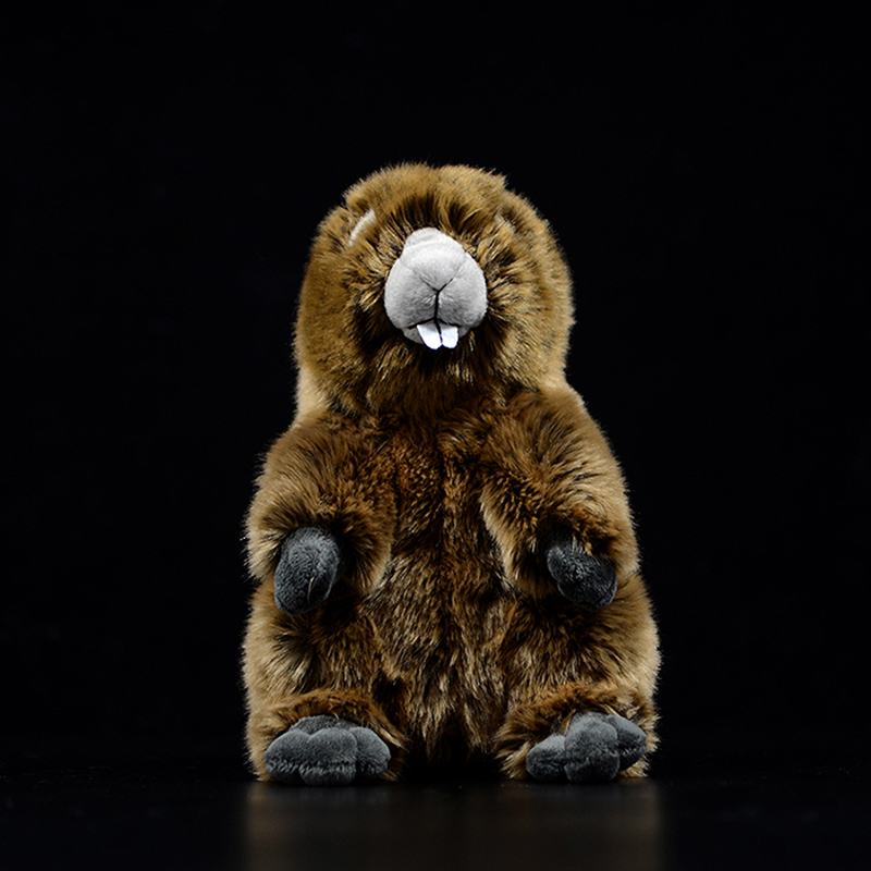 Groundhog Woodchuck Soft Stuffed Plush Toy