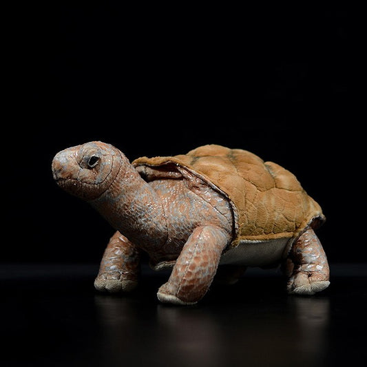 Jucărie de pluș moale cu broasca țestoasă din Galapagos