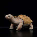 Brinquedo de pelúcia macio de tartaruga de Galápagos