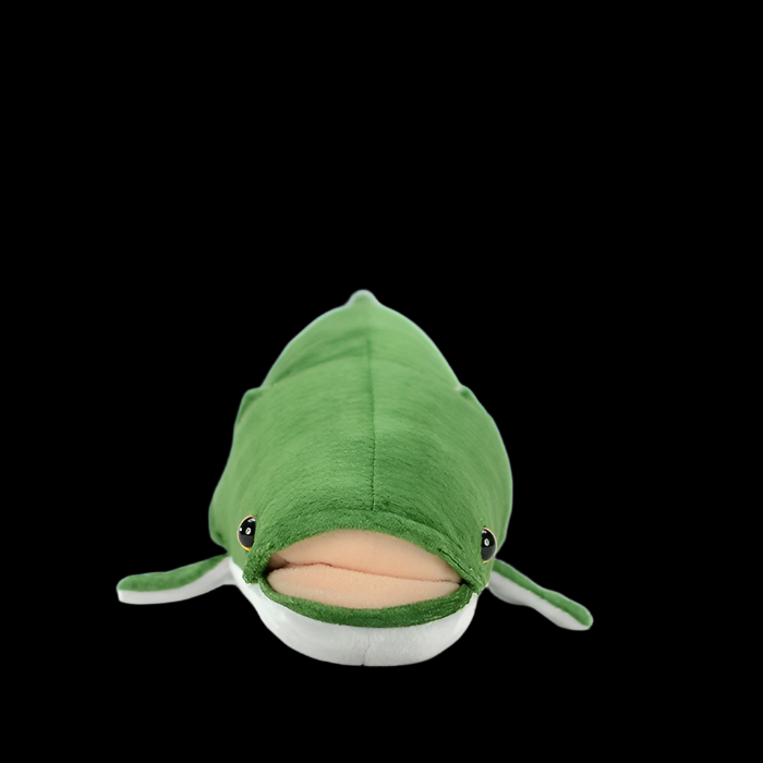 Arapaima Gigas Fish Soft Stuffed Plush Toy – Gage Beasley Arapaima Gigas Fish Soft Stuffed Plush Toy – Gage Beasley