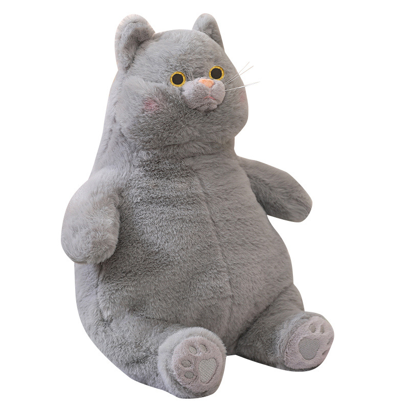 Chubby Cat Teddy Soft Stuffed Plush Toy