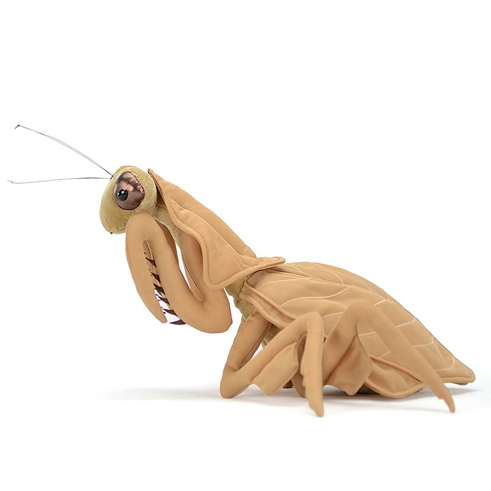 Giocattolo di peluche ripieno morbido di scarabeo dell'Atlante