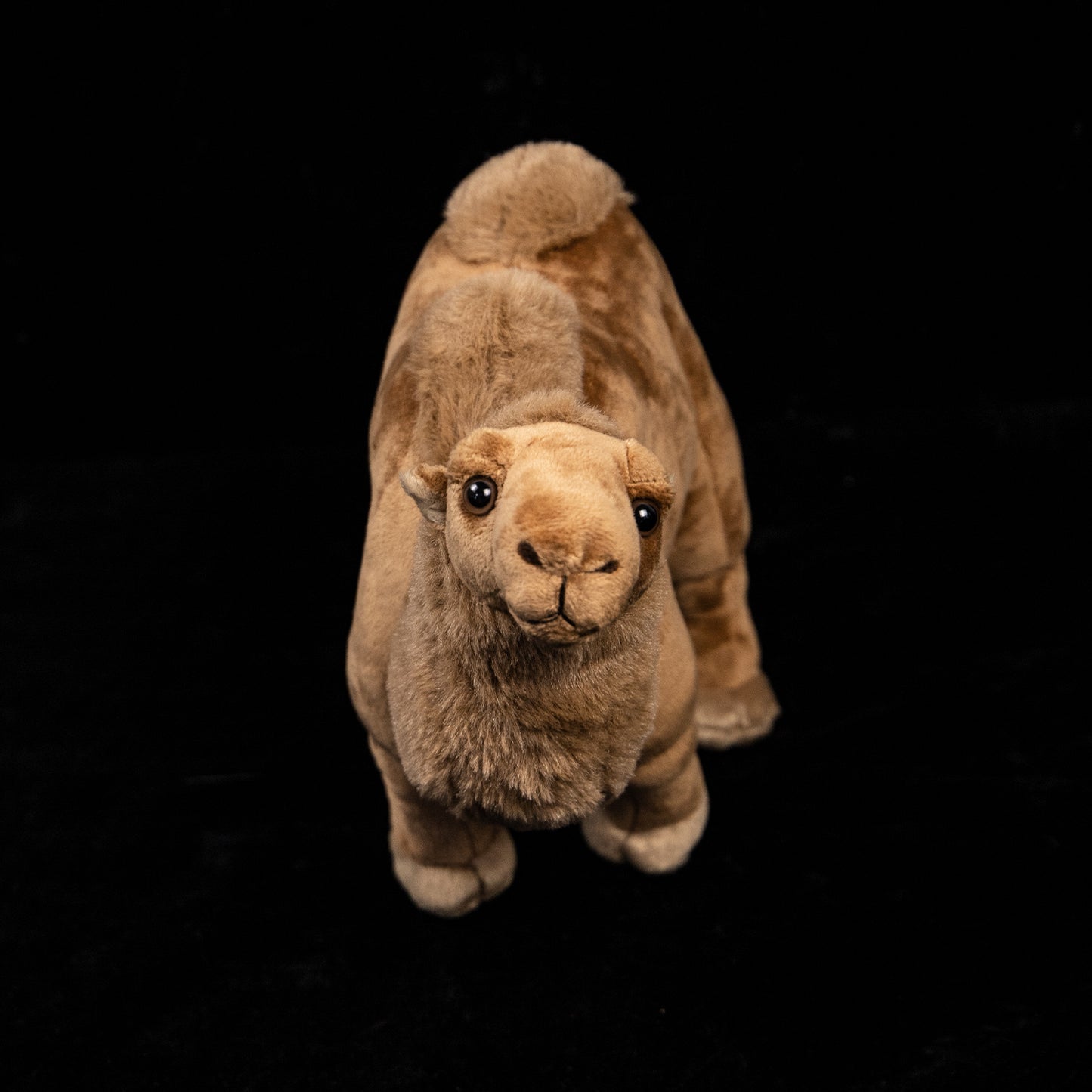 Jucărie de pluș umplută moale Camel