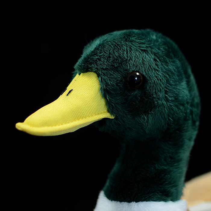 Plush mallard 2024