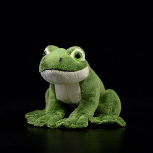 Green Tree Frog Soft Stuffed Plush Toy